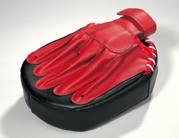 Coaching Mitt pro by Kwon