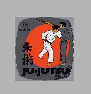 Ju-Jutsu Kampf, metallic